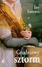 Grudniowy sztorm